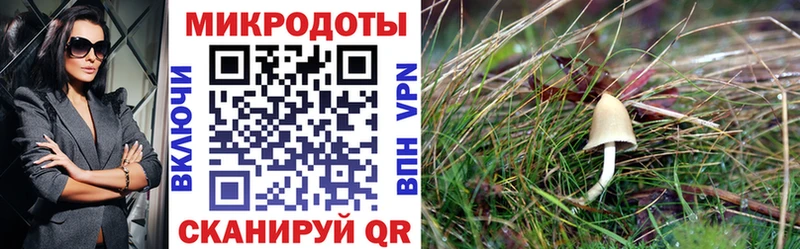ссылка на мегу ONION  Нахабино  Галлюциногенные грибы прущие грибы 